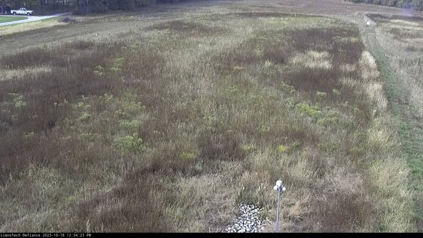 Cell 1_23-10-18_12-34-23-97