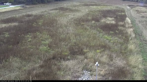 Cell 1_23-10-18_13-07-53-99