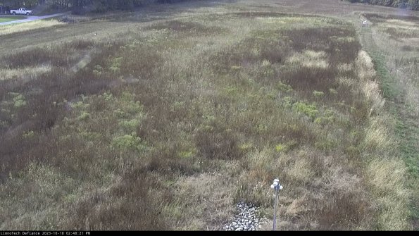 Cell 1_23-10-18_14-48-21-98