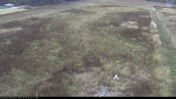 Cell 1_23-10-18_15-21-52-00