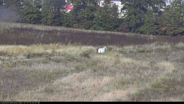 Cell 2 to 3_23-10-18_10-54-38-22