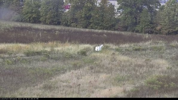 Cell 2 to 3_23-10-18_13-08-34-06