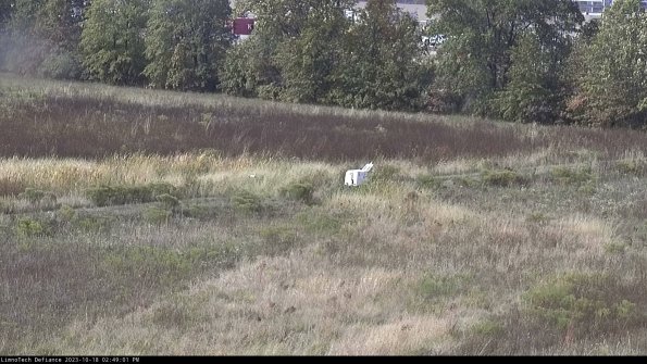 Cell 2 to 3_23-10-18_14-49-02-16