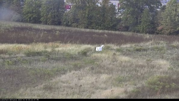 Cell 2 to 3_23-10-18_15-22-32-04