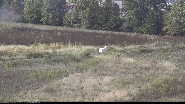 Cell 2 to 3_23-10-18_15-56-00-13