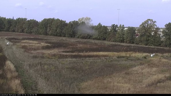 Cell 2_23-10-18_12-34-51-00