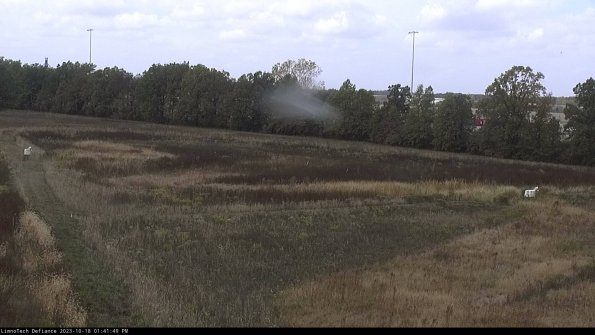 Cell 2_23-10-18_13-41-50-04