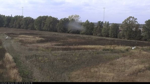 Cell 2_23-10-18_15-55-47-05