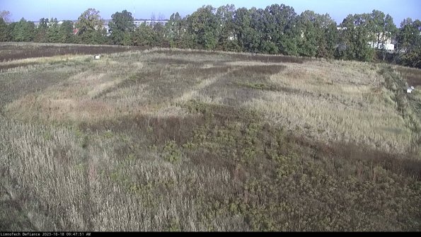 Cell 3_23-10-18_09-47-52-00