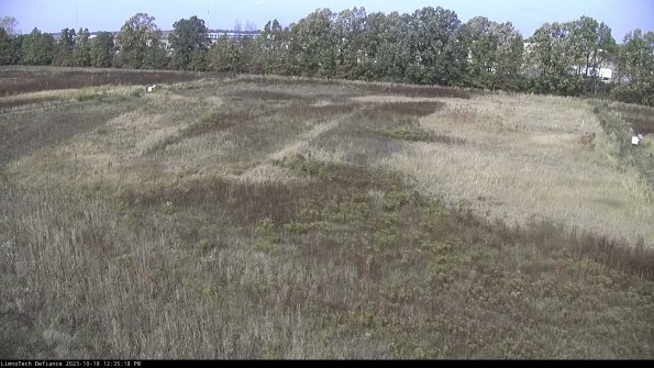 Cell 3_23-10-18_12-35-18-99