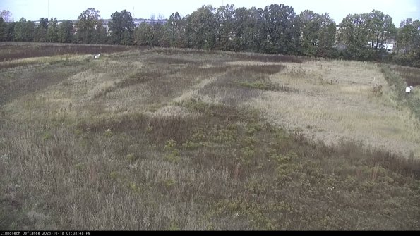 Cell 3_23-10-18_13-08-48-98