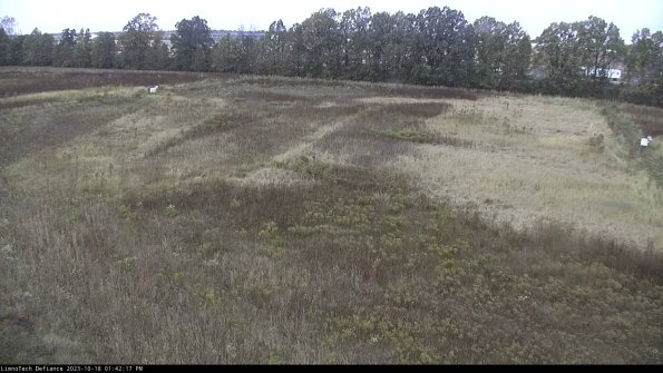 Cell 3_23-10-18_13-42-18-00