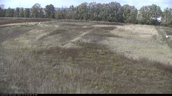 Cell 3_23-10-18_14-49-17-00