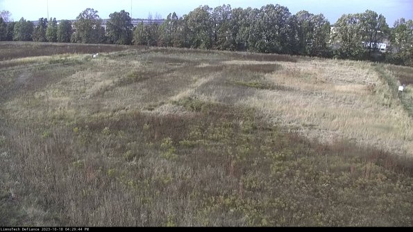 Cell 3_23-10-18_16-29-45-00