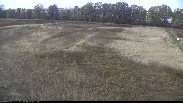 Cell 3_23-10-18_17-03-14-98