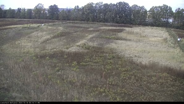 Cell 3_23-10-18_18-10-12-22