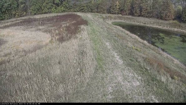 Cell 4 to Basin_23-10-18_16-30-42-99