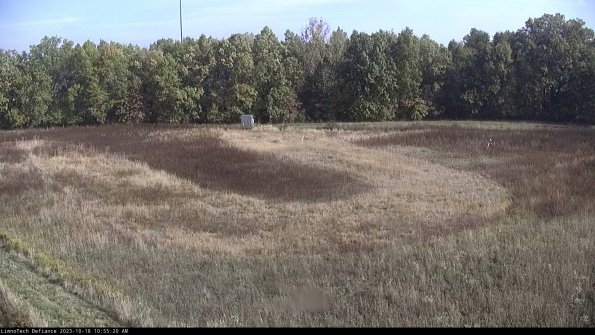 Cell 4_23-10-18_10-55-21-00