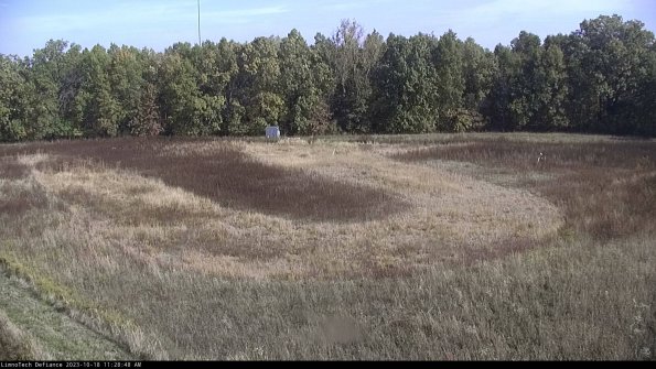 Cell 4_23-10-18_11-28-48-98