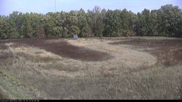 Cell 4_23-10-18_12-35-46-99