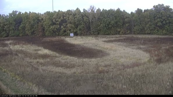 Cell 4_23-10-18_17-03-43-01