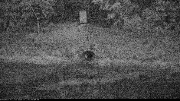 Basin Inflow_23-10-19_19-19-08-26