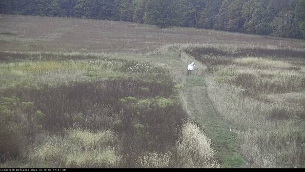 Cell 1 to 2_23-10-19_09-47-41-98