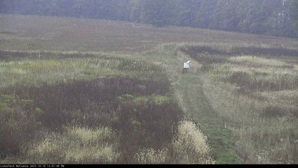 Cell 1 to 2_23-10-19_12-01-40-98