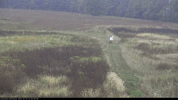 Cell 1 to 2_23-10-19_12-35-10-00