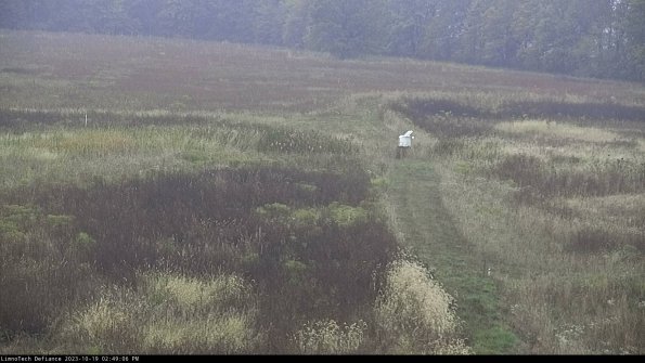 Cell 1 to 2_23-10-19_14-49-07-00