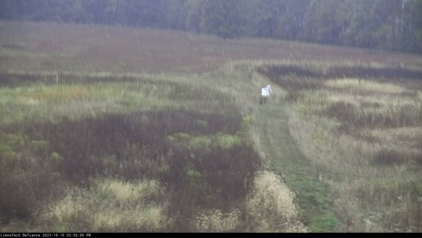 Cell 1 to 2_23-10-19_15-56-07-00