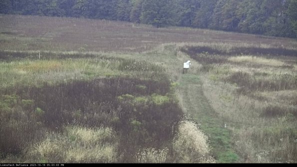 Cell 1 to 2_23-10-19_17-03-04-00