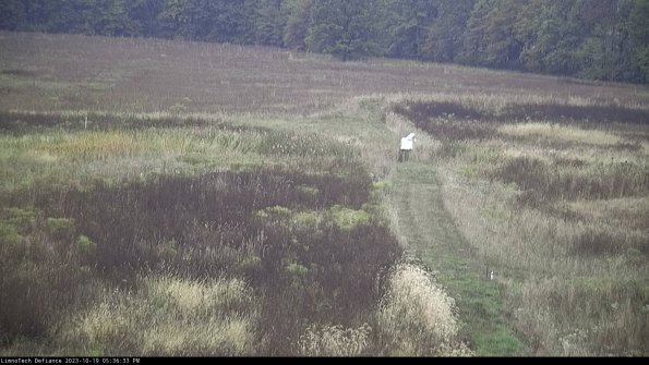 Cell 1 to 2_23-10-19_17-36-34-02