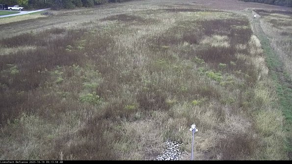 Cell 1_23-10-19_09-13-59-01