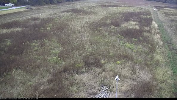 Cell 1_23-10-19_09-47-27-99