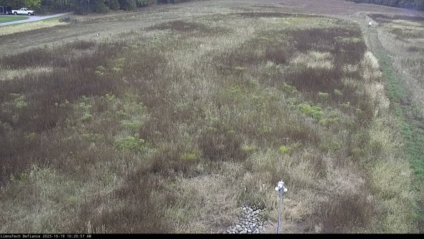 Cell 1_23-10-19_10-20-57-98