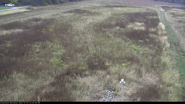 Cell 1_23-10-19_10-54-29-00