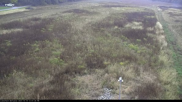 Cell 1_23-10-19_12-01-27-00