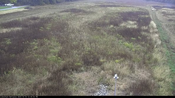 Cell 1_23-10-19_12-34-55-98