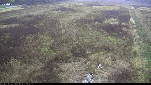 Cell 1_23-10-19_14-48-53-02