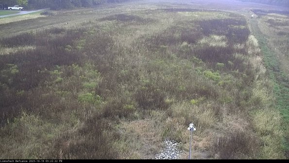 Cell 1_23-10-19_15-22-23-00