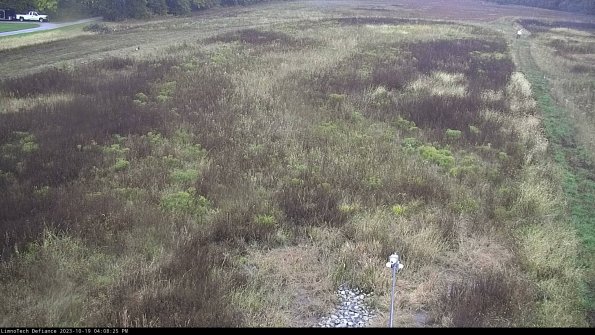 Cell 1_23-10-19_16-08-26-04