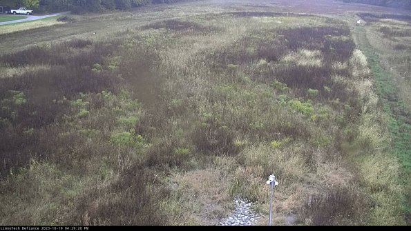 Cell 1_23-10-19_16-29-21-00