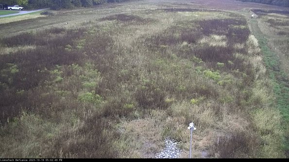 Cell 1_23-10-19_17-02-49-99