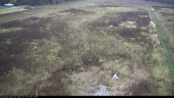 Cell 1_23-10-19_17-36-20-00