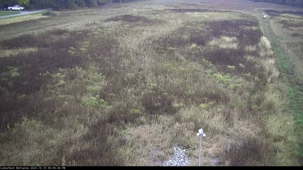 Cell 1_23-10-19_18-09-49-02