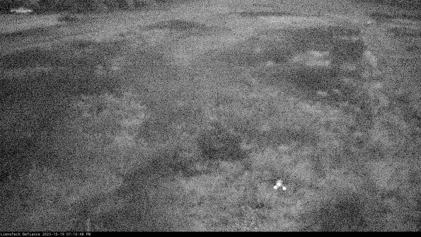 Cell 1_23-10-19_19-16-49-02