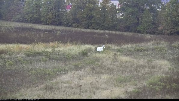 Cell 2 to 3_23-10-19_09-48-08-10