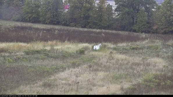 Cell 2 to 3_23-10-19_10-21-38-15