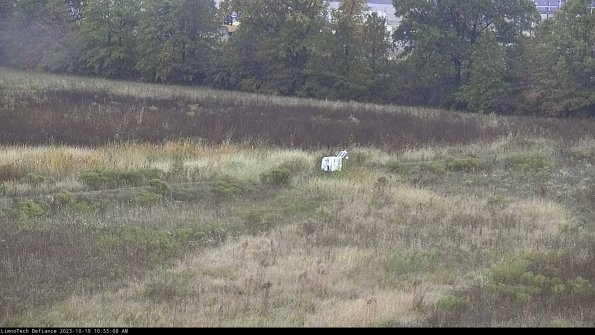 Cell 2 to 3_23-10-19_10-55-09-07